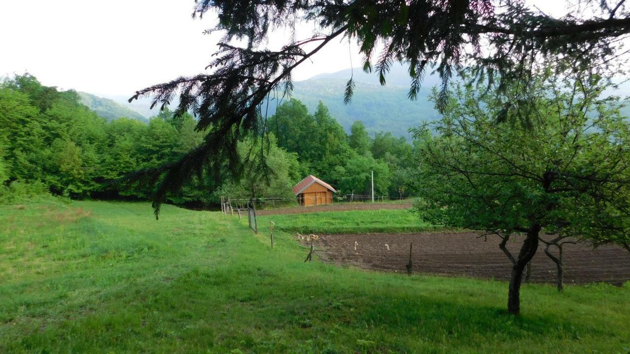 Robinzonski Turizam "Robin' S Hood" Skrad Exterior photo